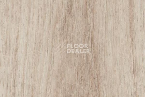Виниловая плитка ПВХ FORBO Allura Decibel 8WAU01-3WAU01 pale authentic oak фото 1 | FLOORDEALER
